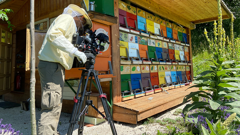 Tierischer Einsatz, ein Kameramann der TVN dreht eine Langzeitaufnahme einem Bienenhauses 